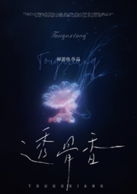 透骨香增香剂的功效与作用